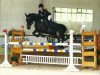 jumper Cosmopolitan 16 (Hanoverian, 1995, from Cordial)