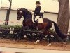 stallion Royal Dancer 26 (German Sport Horse, 2004, from Romeo Riano)