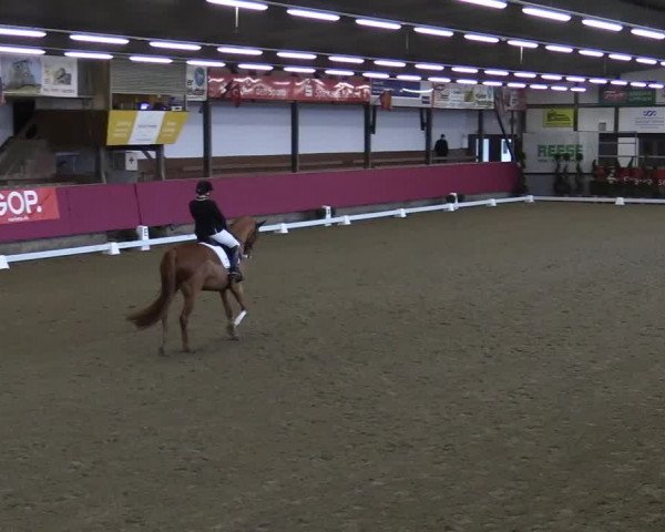 Bismarck Indoors Vlotho-Exter 2022