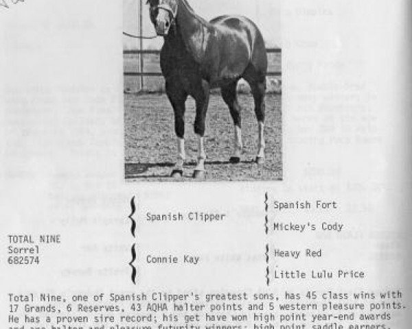 stallion Total Nine (Quarter Horse, 1969, from Spanish Clipper)