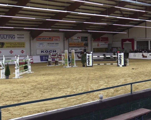 Springturnier Borken 2022
