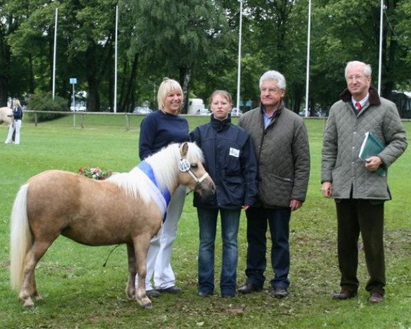 broodmare Arielle (Shetland Pony, 2006, from Mylord)