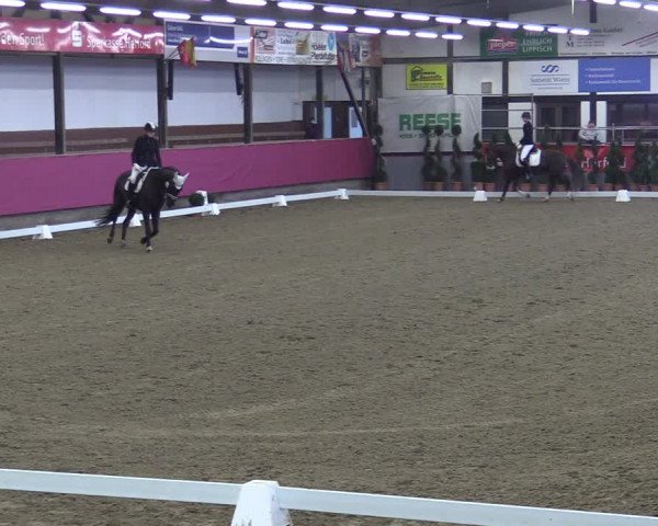 Bismarck Indoors Vlotho-Exter 2022