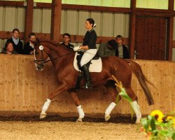 Zuchtstute Polarsonne VIII (Trakehner, 2000, von Charly Chaplin)