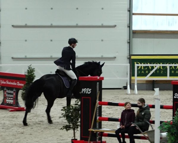 Springturnier Borken 2022