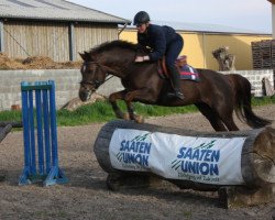 Springpferd Rilana 65 (Deutsches Reitpony, 2005)