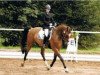 dressage horse Graf Langenstein (Zweibrücken, 2007, from Graf Sandro)