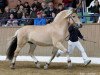 stallion Rongar (Fjord Horse, 2006, from Rånn N.2659)