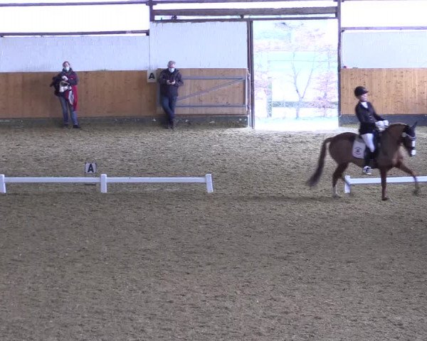 Reitturnier Datteln 2022