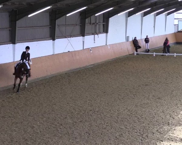Reitturnier Datteln 2022