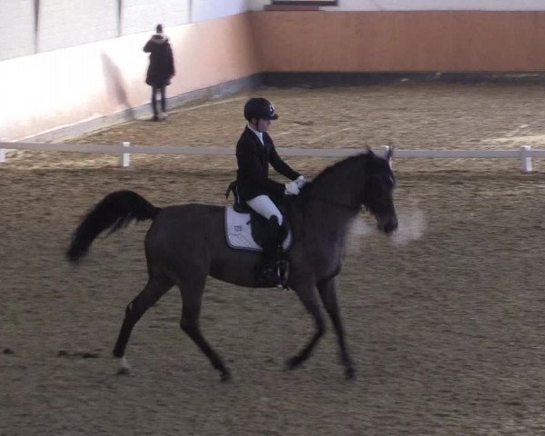 Reitturnier Datteln 2022