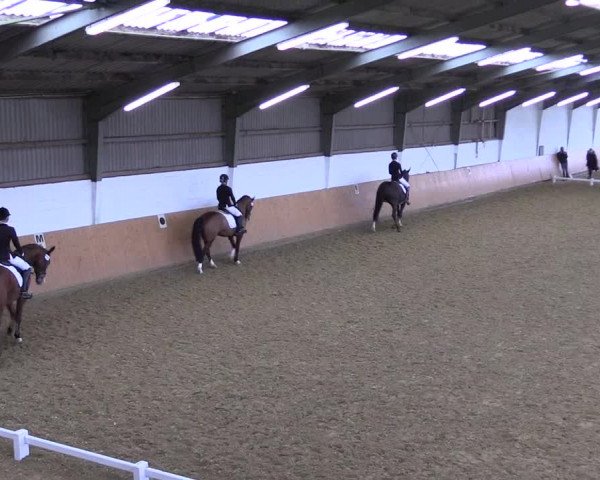 Reitturnier Datteln 2022