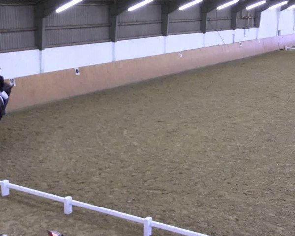 Reitturnier Datteln 2022