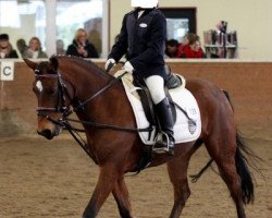 broodmare Kalibra 7 (German Riding Pony, 2005, from Kalif)