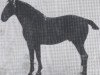 stallion First 2451 (Holsteiner, 1914, from Tobias)