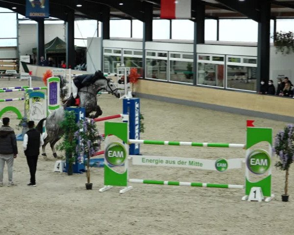 Springturnier Borken 2022