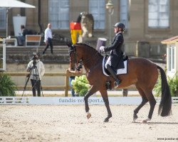 dressage horse Signorina 10 (Hanoverian, 2011, from Sandro Hit)