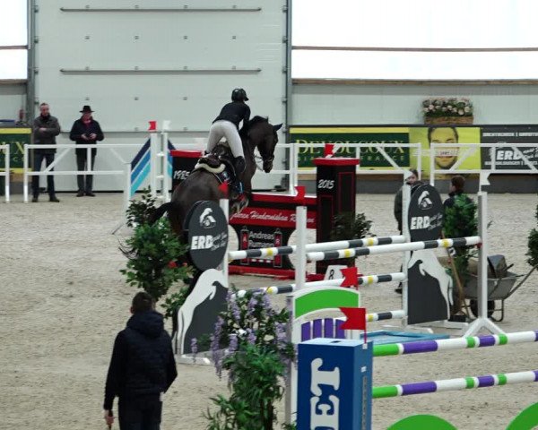 Springturnier Borken 2022