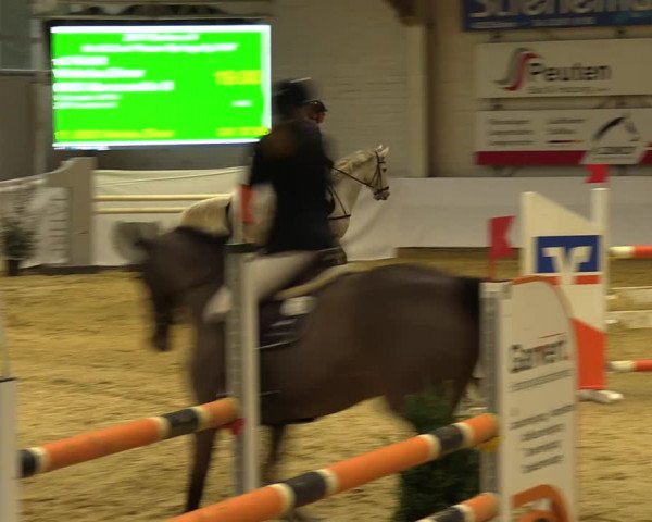 Springturnier Borken 2022