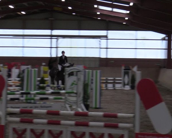Reitturnier Ostenfelde-Vornholz 2022