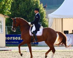 broodmare Laponia (German Sport Horse, 2008, from Stallone Quainton)