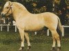 stallion Hoptrup Jarl (Fjord Horse, 1996, from Orion Halsnæs)