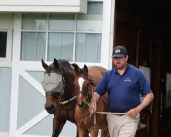 horse Hengst von Tapit xx (Thoroughbred, 2021, from Tapit xx)