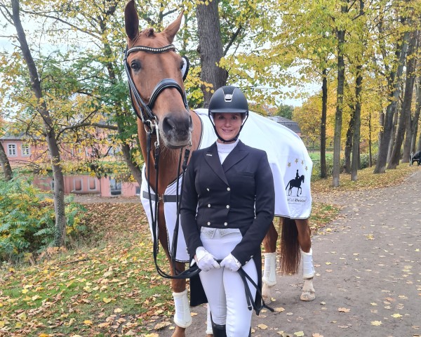 dressage horse Dancing Carlos (Westphalian, 2011, from Dresemann)