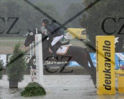 dressage horse Prinz Poldi 11 (German Riding Pony, 2004, from FS Pour l'Amour)