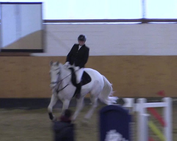 Reitturnier Datteln 2022