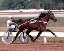 stallion Baltic Speed 3578Z (US) (American Trotter, 1981, from Speedy Somolli 155AS (US))