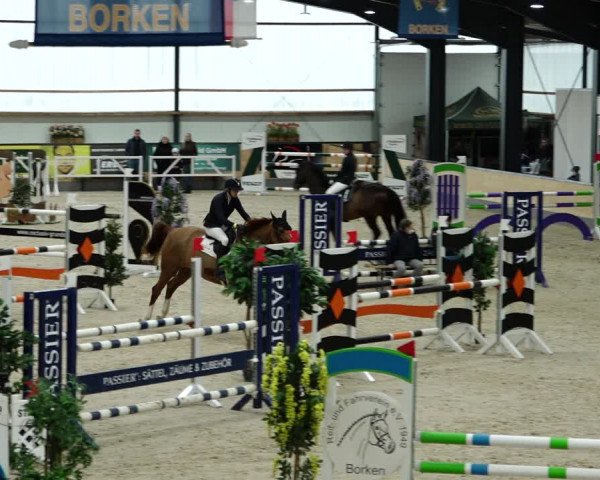 Springturnier Borken 2022