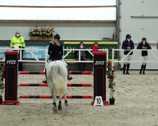 Springturnier Borken 2022