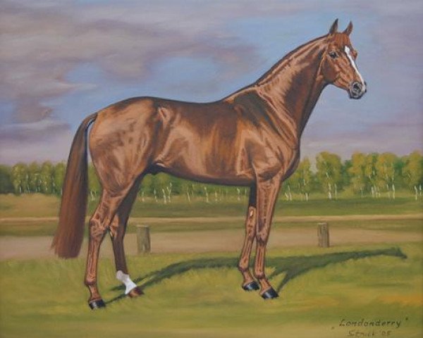 stallion Londonderry (Hanoverian, 1995, from Lauries Crusador xx)