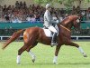 stallion Locksley II (Hanoverian, 2002, from Londonderry)