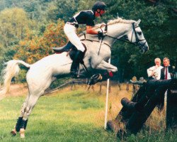 stallion Ghazzir ShA (Shagya Arabian, 1983, from Bajar ShA)