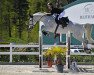 jumper Choco White (Nederlands Rijpaarden en Pony, 2009, from Chocoprince)