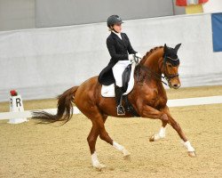 dressage horse Impessive (KWPN (Royal Dutch Sporthorse), 2013, from Vitalis)