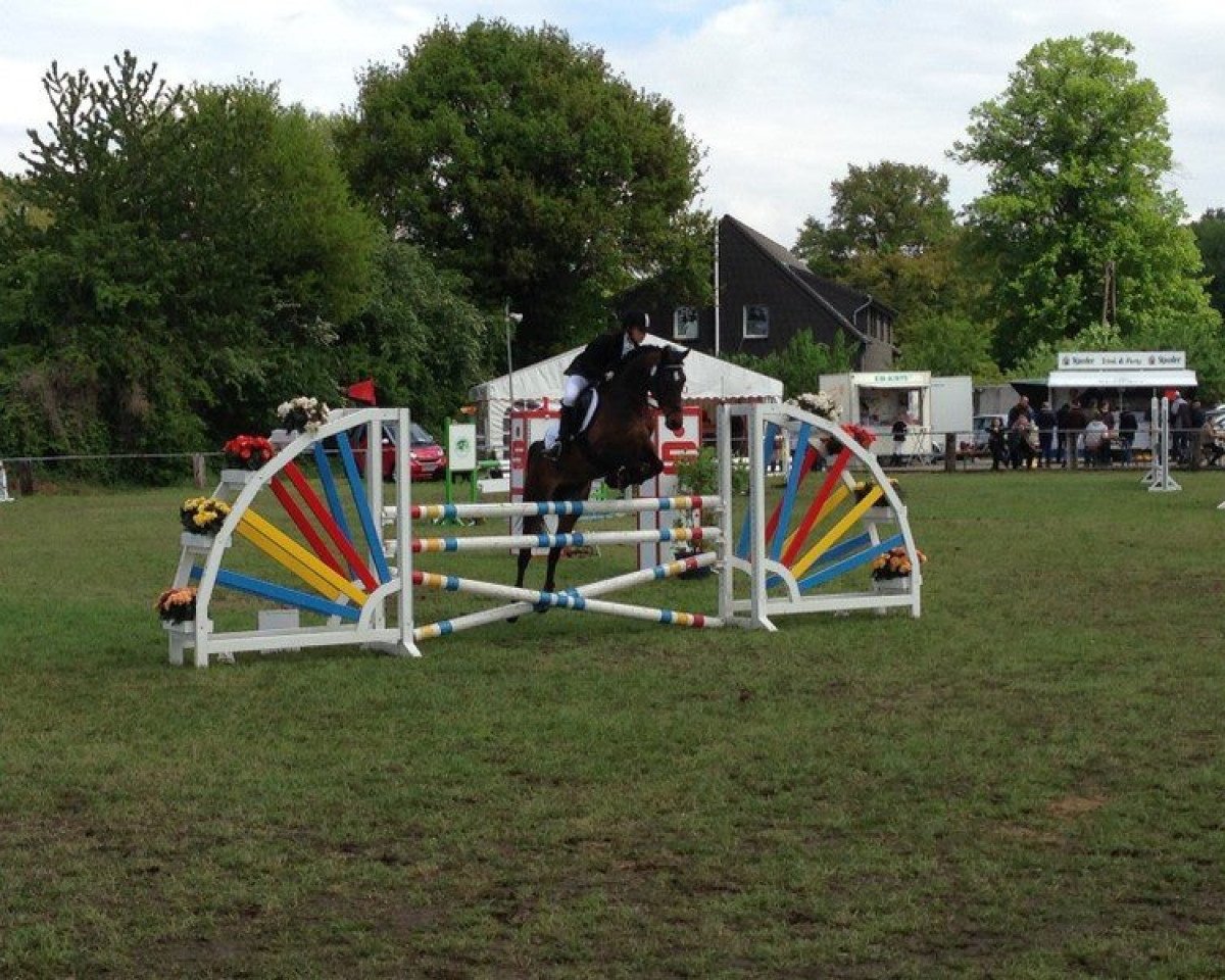 Springpferd Sweet Like Chocolate (Deutsches Reitpony, 2006, von Nightflight)