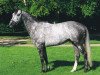 stallion Medaaly xx (Thoroughbred, 1994, from Highest Honor xx)