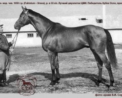 stallion Effekt xx (Thoroughbred, 1959, from Faktotum xx)