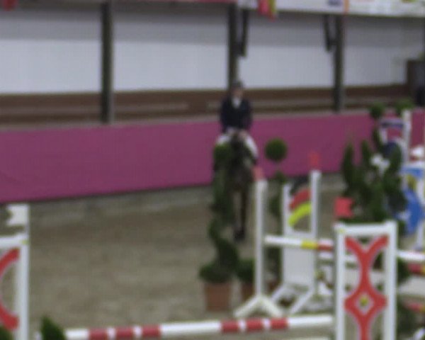 Bismarck Indoors Vlotho-Exter 2022