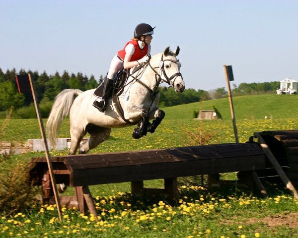 Dressurpferd Viona 29 (Deutsches Reitpony, 2009, von Monte Christo)