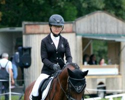 dressage horse Nightman Vom Burgenland (German Riding Pony, 2007, from Night-Dream)