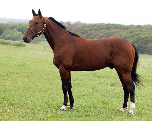 stallion Legendary Lover K SD465 (US) (American Trotter, 1997, from Armbro Goal 967DL (US))