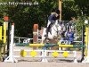 horse Aslan 51 (German Riding Pony, 2005, from Asilo xx)