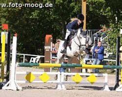 horse Aslan 51 (German Riding Pony, 2005, from Asilo xx)