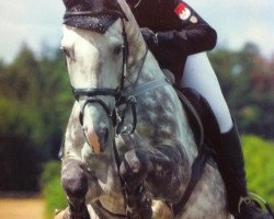 jumper Atlantic 38 (Czech Warmblood, 2004, from S I E C Atlas)