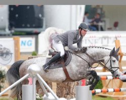 jumper Luce del Castegno (Sella Italiano, 2005, from Campione)