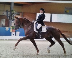 dressage horse Fabious (Hanoverian, 2008, from Fidertanz)